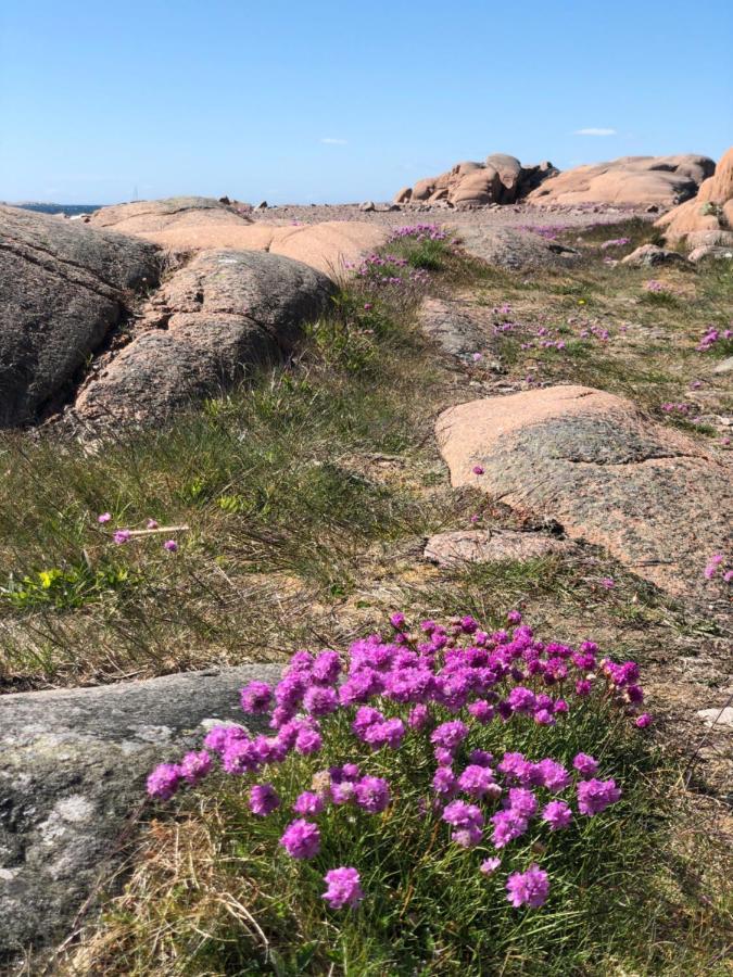 Havings Skafferi Διαμέρισμα Lysekil Εξωτερικό φωτογραφία
